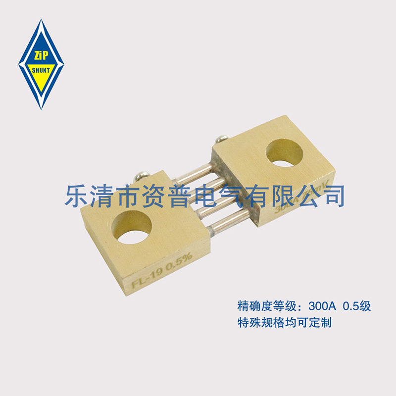 FL-19 300A/75MV 纸